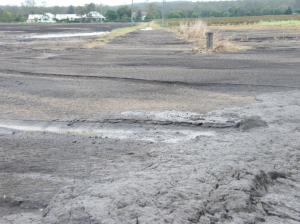 The floods of January 2011 left a blanket of silt over many areas of farmland in the Lockyer Valley